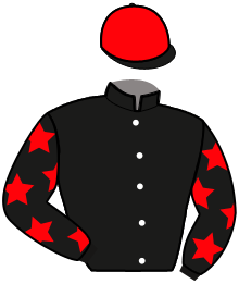 Casaque du n°6 — IESOLO