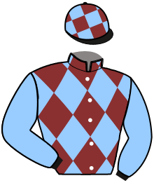 Casaque du n°1 — JILANZA DU MOULIN