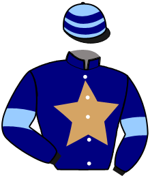 Casaque du n°3 — ILOULOU JASMA