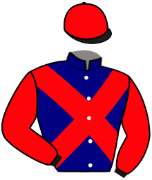 Casaque du n°8 — HARRYBEAU DE COUET