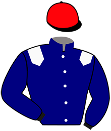 Casaque du n°5 — LAFITE VRIE