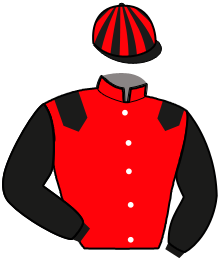 Casaque du n°11 — KADOR DU MONT