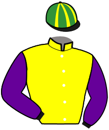 Casaque du n°17 — KALEDA DE LA COUR