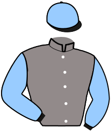 Casaque du n°3 — KRONOS CAMP