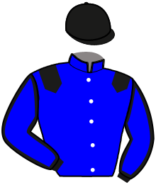 Casaque du n°10 — MATY ROYALE