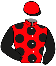 Casaque du n°5 — MORICCONE DAIRPET
