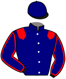 Casaque du n°6 — MARQUIS BOURBON