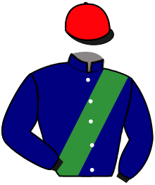 Casaque du n°14 — NOVILLADA PHEDO