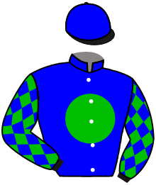 Casaque du n°11 — NINUCCIO
