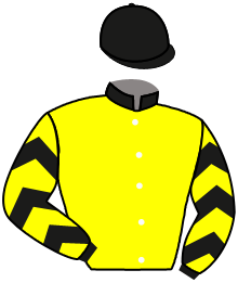 Casaque du n°3 — SCRAMJET