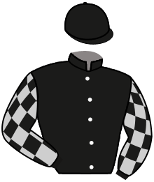 Casaque du n°2 — BEDARD