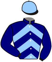 Casaque du n°2 — STORMING