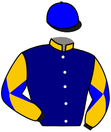 Casaque du n°7 — BATTLE
