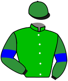Casaque du n°11 — PEEK