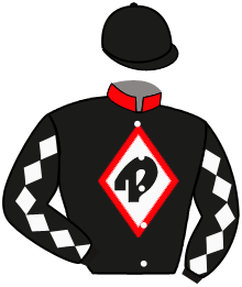 Casaque du n°2 — RUN CLASSIC