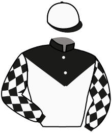 Casaque du n°6 — PRINCIP