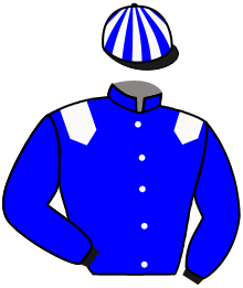 Casaque du n°3 — MASSARAT