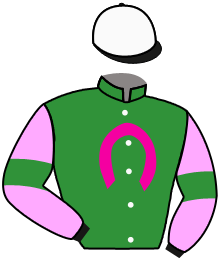 Casaque du n°13 — LEO'S REWARD