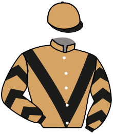 Casaque du n°1 — NECTAR VERGOIGNAN