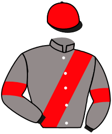 Casaque du n°5 — NAME CASTLE