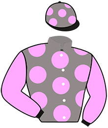 Casaque du n°4 — ALINKA