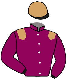Casaque du n°5 — DANICA