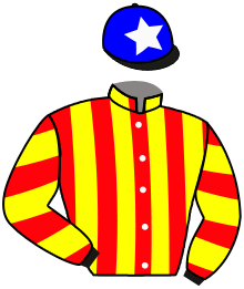 Casaque du n°7 — UNITED COLOR