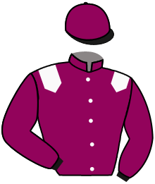 Casaque du n°2 — WILLOWER