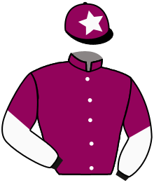 Casaque du n°3 — LAVIS