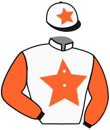 Casaque du n°2 — CARRE DE SOIE