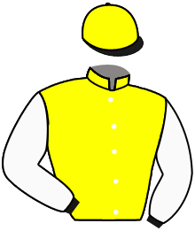 Casaque du n°7 — LIGHTIANA