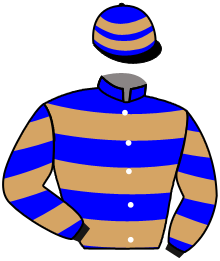 Casaque du n°9 — ZELZANA