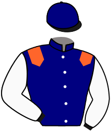 Casaque du n°1 — ANCTOT