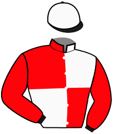 Casaque du n°13 — KALINE D'ERPION