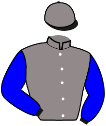 Casaque du n°10 — MAGELLANO SUN