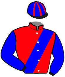 Casaque du n°8 — MAJOR MESLOIS