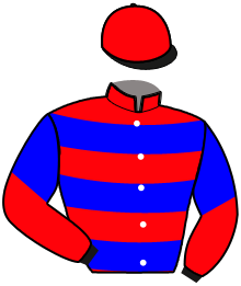 Casaque du n°2 — NEVERLAND MIJACK