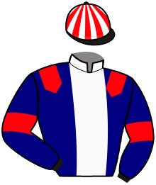 Casaque du n°7 — NOGERO