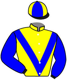 Casaque du n°9 — MAS SLADE