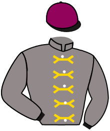 Casaque du n°1 — AL GHAZLANIYA