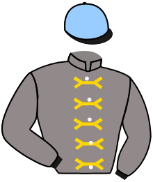 Casaque du n°10 — TEBRAH