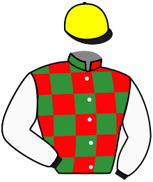 Casaque du n°13 — NABEEHAH