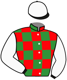 Casaque du n°14 — SALIHAH