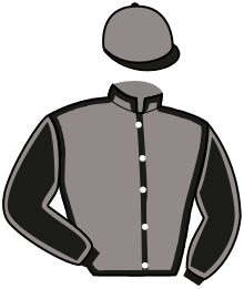 Casaque du n°3 — NEFISA HIPOLYTE