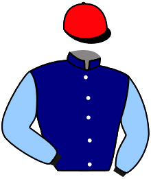 Casaque du n°4 — ZANKARA