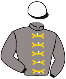 Casaque du n°9 — AL GHAYDA