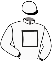 Casaque du n°10 — ASHUTOR