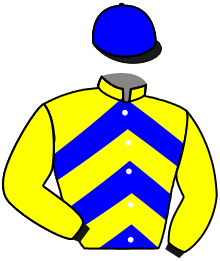 Casaque du n°3 — QUDILLERO
