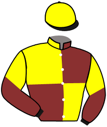 Casaque du n°11 — HIGHWIND