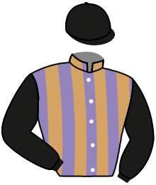 Casaque du n°17 — GOOLOOGONG